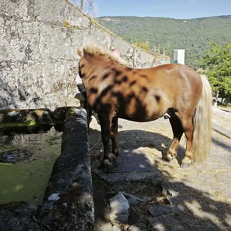 Casa Do Apeadeiro Сasa de vacaciones *