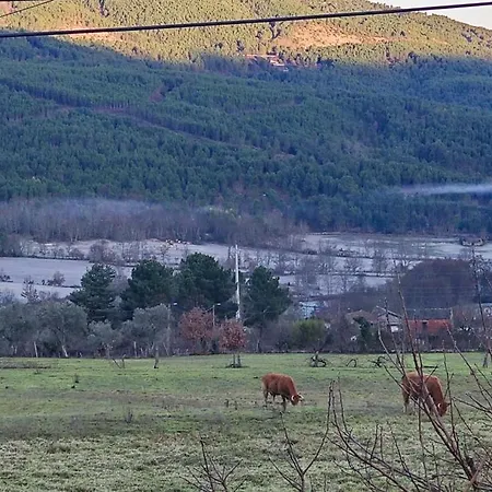 Casa Do Apeadeiro Ferienhaus