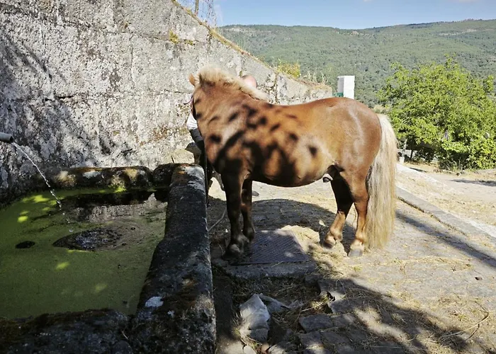 Casa Do Apeadeiro Holiday home *