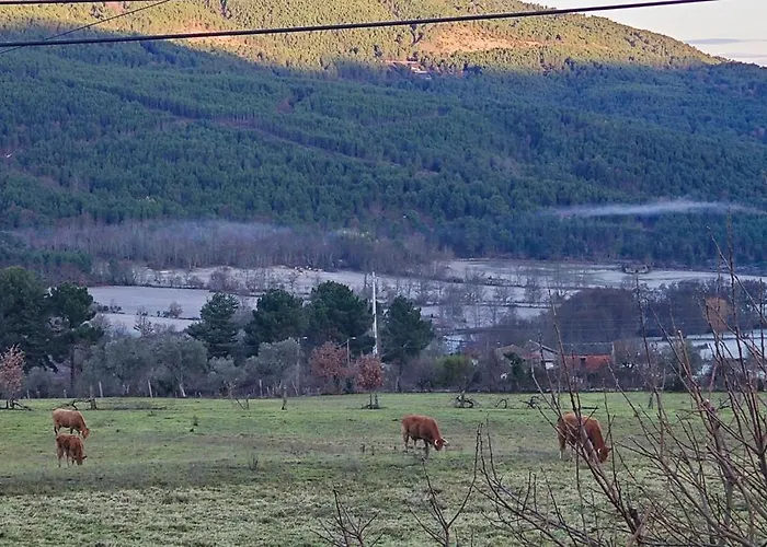 Casa Do Apeadeiro Holiday home
