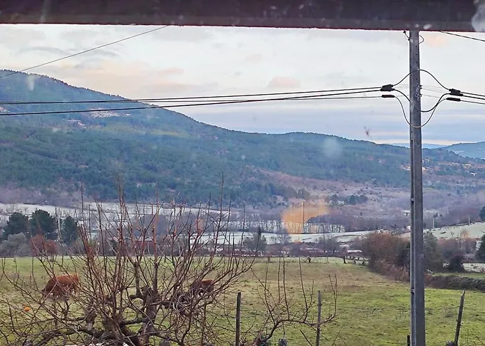 Casa Do Apeadeiro Holiday home Vila Pouca de Aguiar